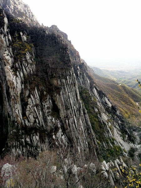 逐鹿中原:选手匹马单枪独斗成就辉煌的简单介绍 逐鹿中原:选手匹马单枪独斗成就辉煌的简单介绍