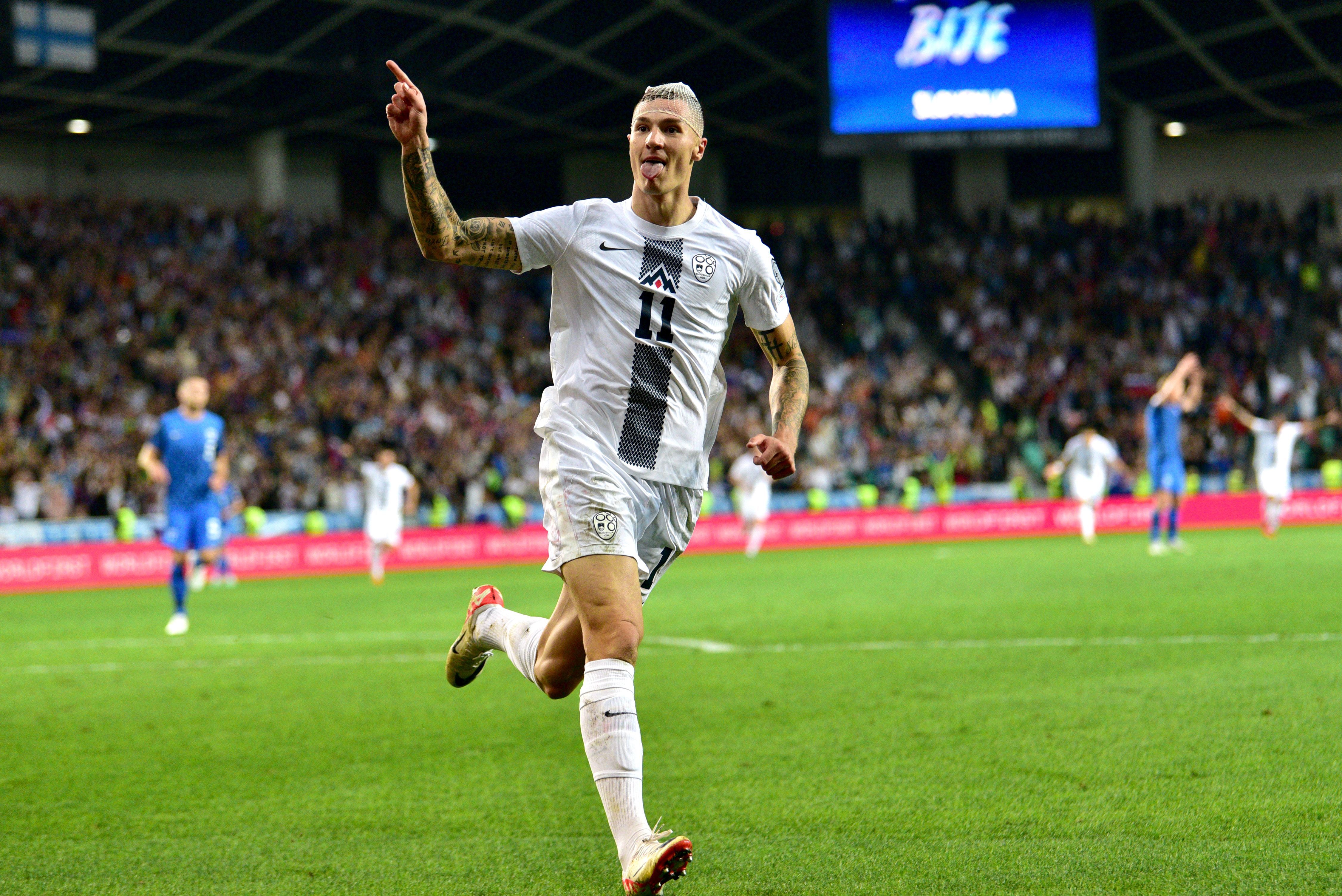 开云-欧洲杯队主教练发声,誓言带队登顶的简单介绍