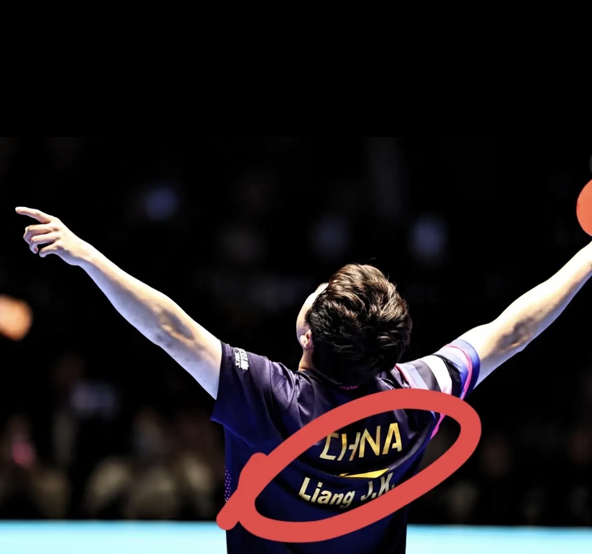 开云体育入口-法国队逆转奥地利队，梁靖崑统治全场的简单介绍