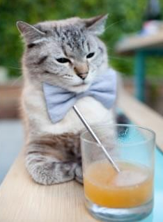 当文明在绿茵场交锋,皇马门神与波斯铁骑的巅峰一瞬