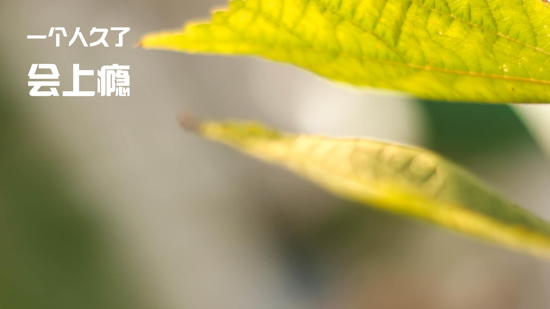 开云体育-绝境神迹！热火惊天逆转新疆，乔治赛后评分拉满，封神之夜铸就传奇