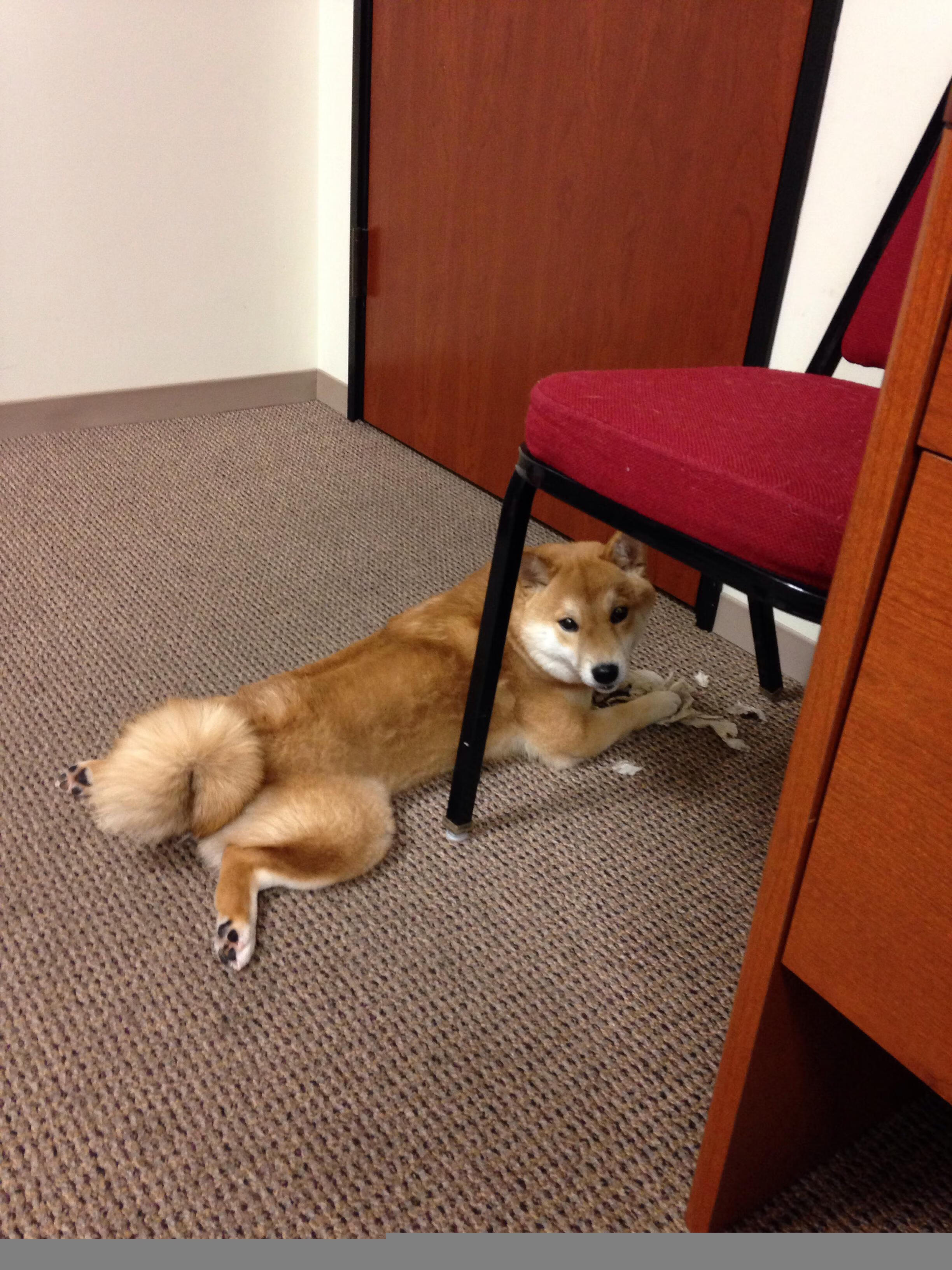 开云-当终场哨遇到单节风暴，唯一性的两种底色