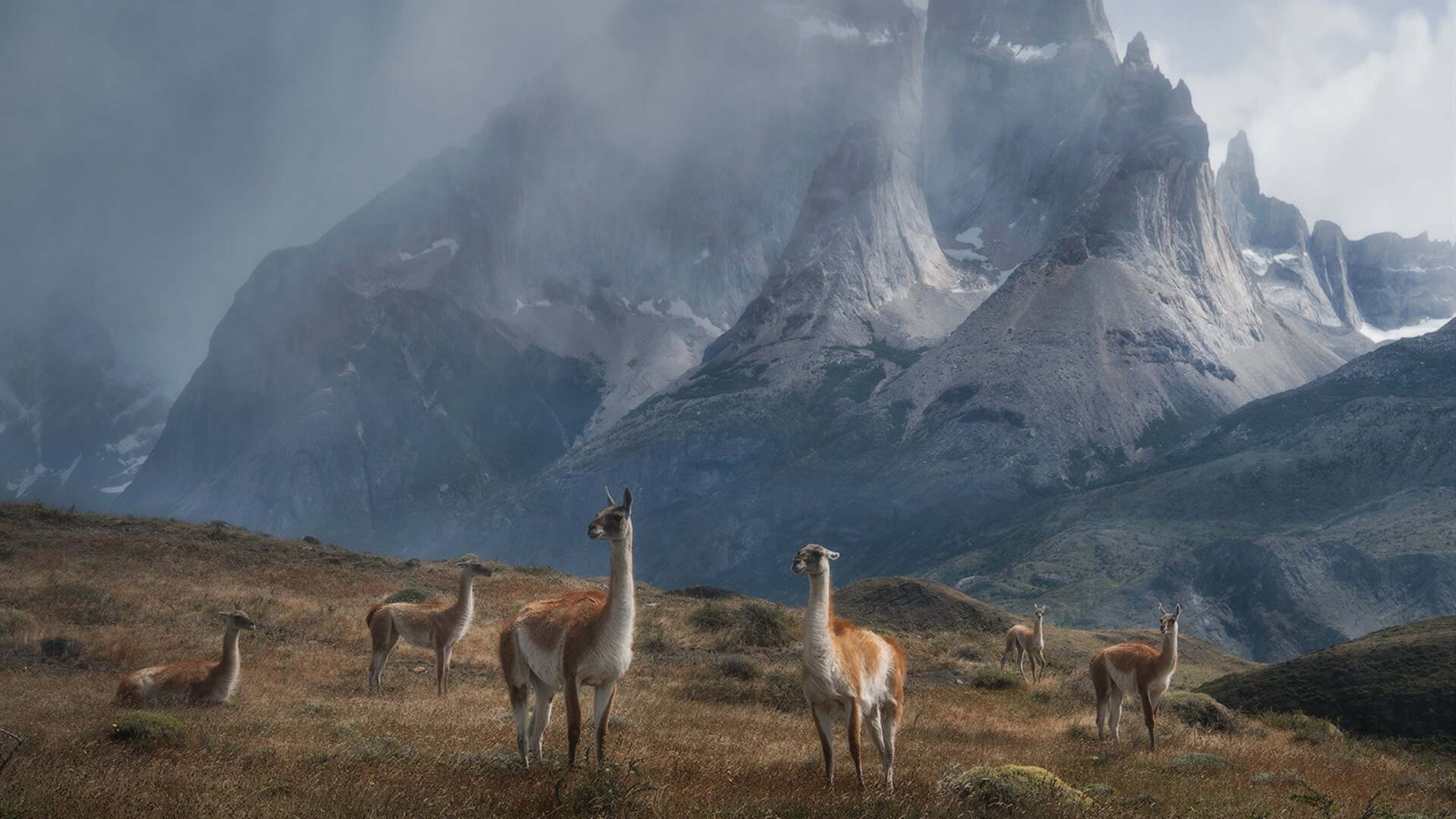 开云平台-锁链与峡湾，尤文图斯如何用意大利式防守，将挪威惊雷消弭于无声？