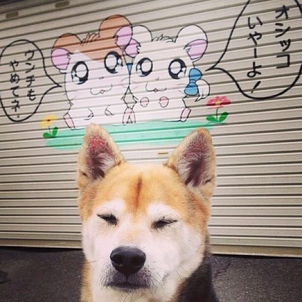 开云体育官网-铁闸与重压，斯通斯如何在对阵丹麦的比赛中完成北欧童话的终结