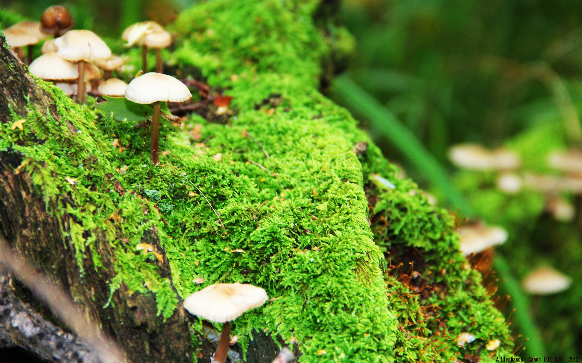 开云APP-异域战火中的王冠,德甲争冠夜,C罗书写唯一性戏码