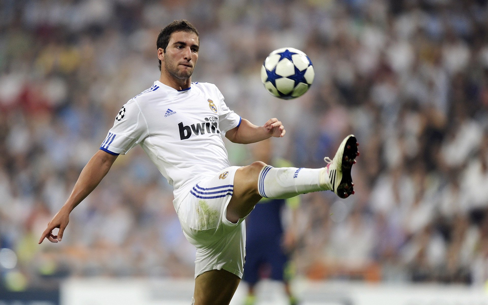 黑夜亮刃,胜者气脉—霍勒迪冷血一击,广东绝境逆袭浙江