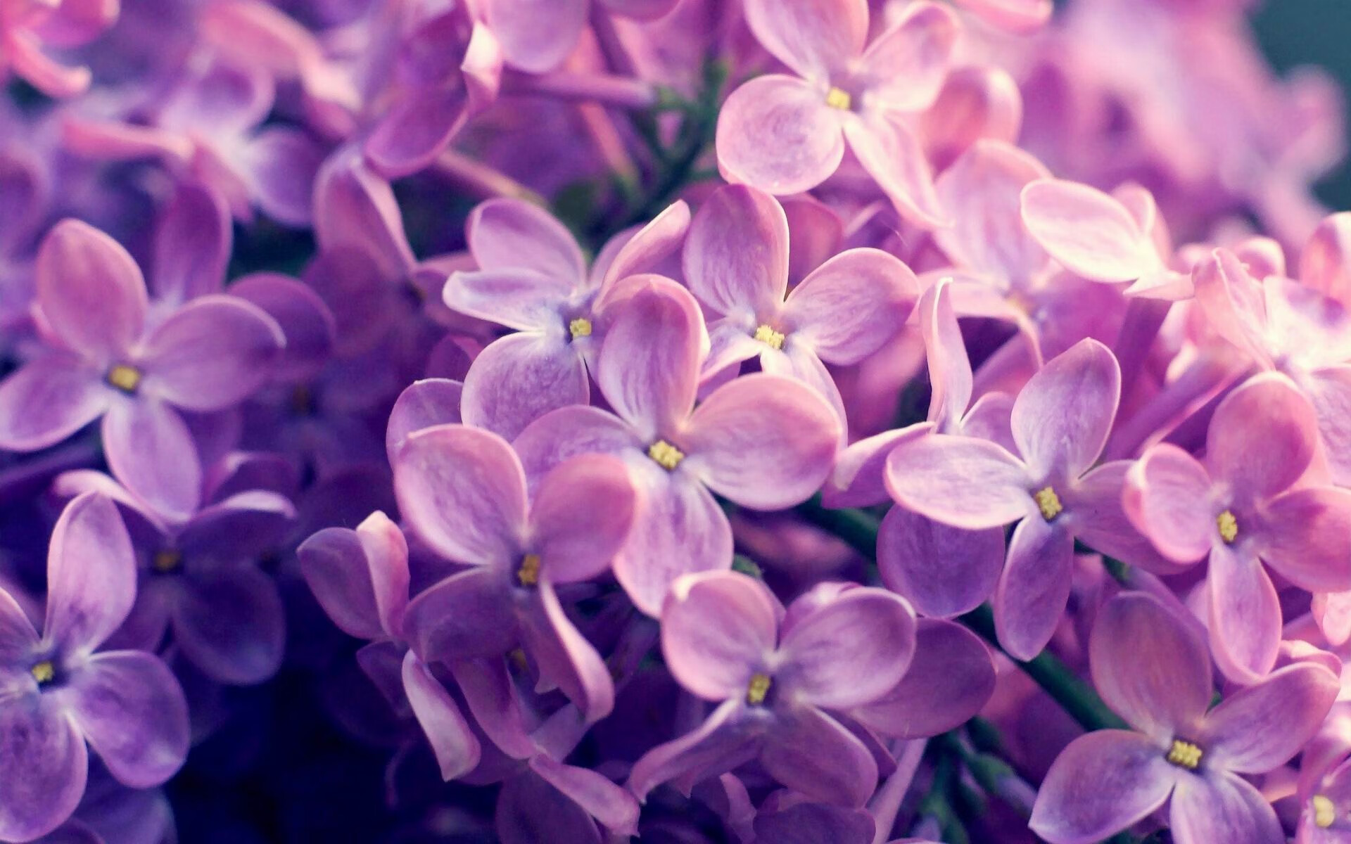 开云体育入口-绝杀之翼,伦纳德爆发撕裂防守,山西读秒击坠篮网