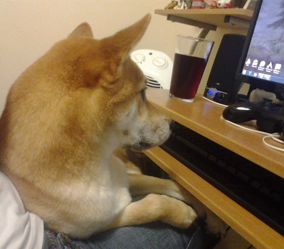 开云体育入口-从团队压制到一剑封喉,哥伦比亚如何用连续得分密码锁定胜局,无名英雄凯恩的蜕变之路