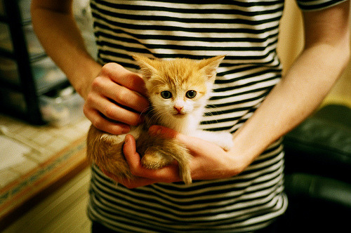 开云下载-当火山败给闪电，牙买加如何用一场完胜，震动了冰岛千年冰川