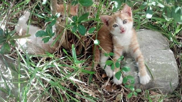 惊天爆冷！山西队争冠战压哨绝杀篮网，伦纳德成关键先生