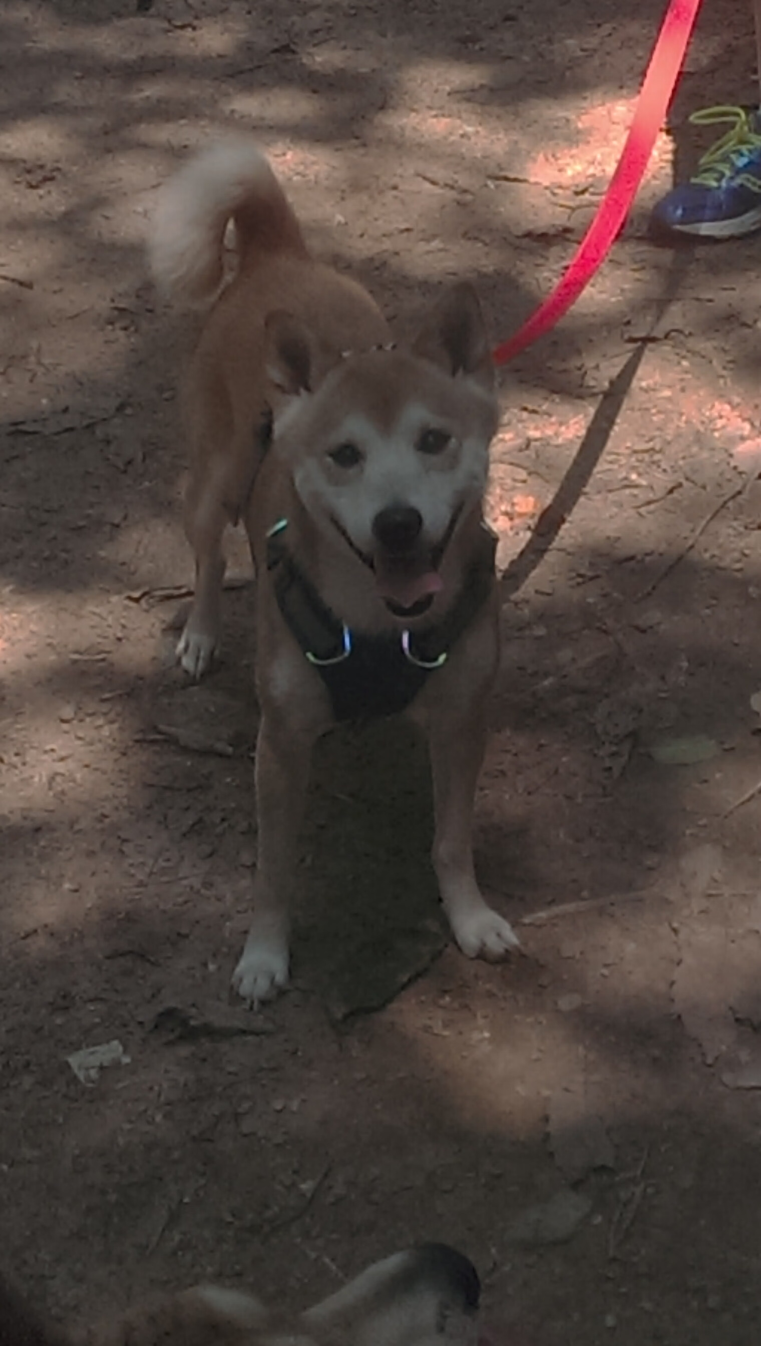 窒息撕咬，末节狂飙，浙江生死时刻逆转辽宁，CBA王座之争再起硝烟