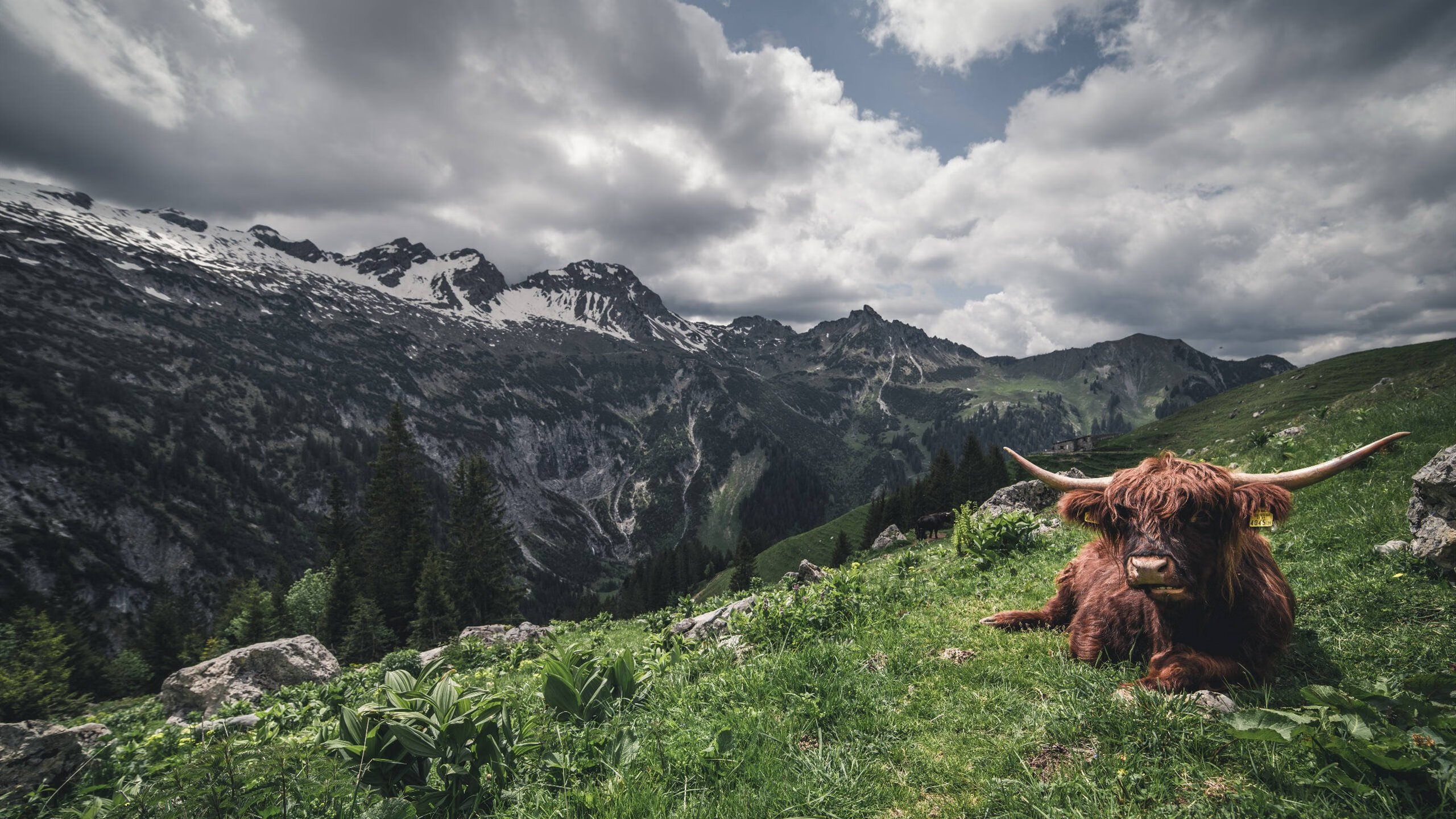 世界杯后的风暴，姆巴佩爆发与阿根廷球星如何助皇马称霸