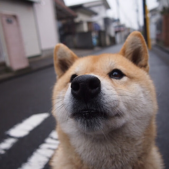 穿越时空的交汇点，当足球撞线F1，我们看见了竞技的永恒心跳