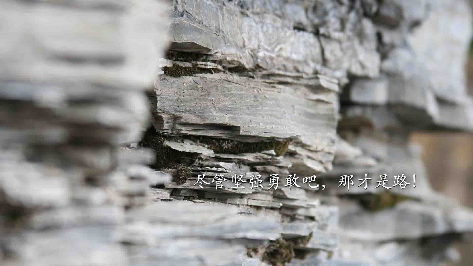 开云APP-布拉格之春,当东欧铁骑踏碎桑巴舞步,2026世界杯上演最冷逆袭